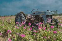 Stormy Tractor 